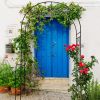 Metal Garden Arch W55'' x H94.5'' Garden Arbor Trellis Climbing Plants Support Rose Arch Outdoor Arch